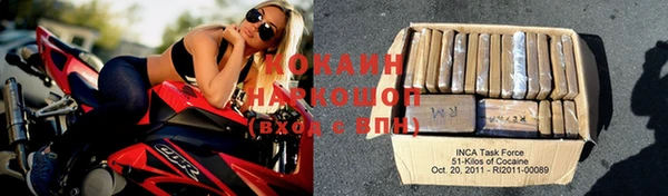 молекула духа Арсеньев