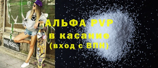 молекула духа Арсеньев