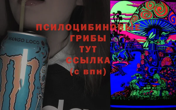 прущая мука Алзамай