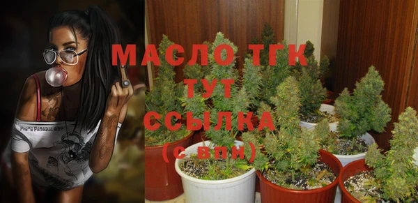 гашик Аркадак