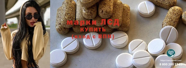 гашик Аркадак