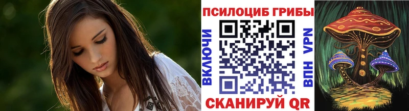 Псилоцибиновые грибы Cubensis  Саров 
