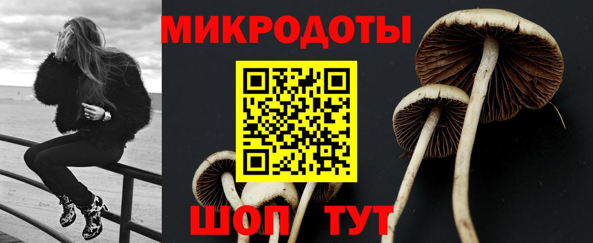 Саров  Галлюциногенные грибы Cubensis  закладки  Вход с VPN 